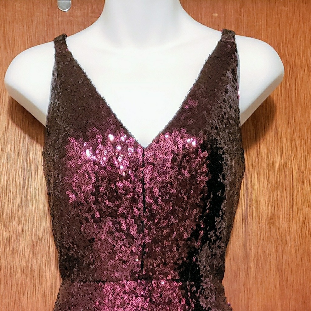 R&M Richard's V Neck Sequined Dress